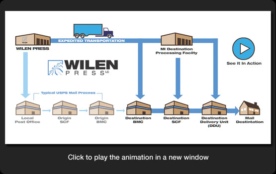 Wilen Shipping Animation