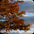 Autumn at Argyle Lake